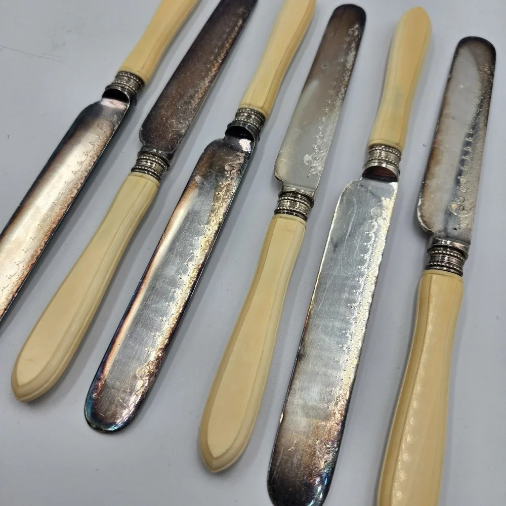 Vintage Dinner Butter‎ Knife Set EPNS Ornate Blade 6 Pc Rare Set Celluloid